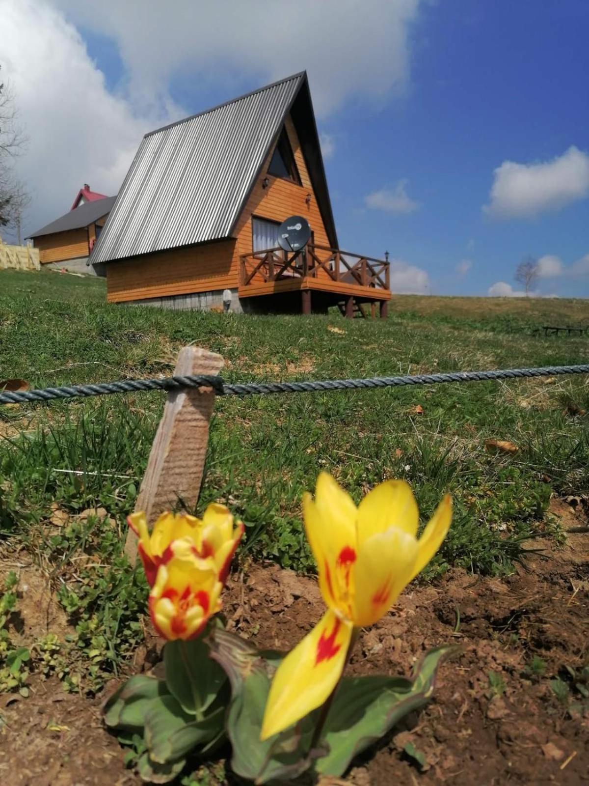 Villa Koliba Luca Smrcevo Brdo Žabljak Esterno foto